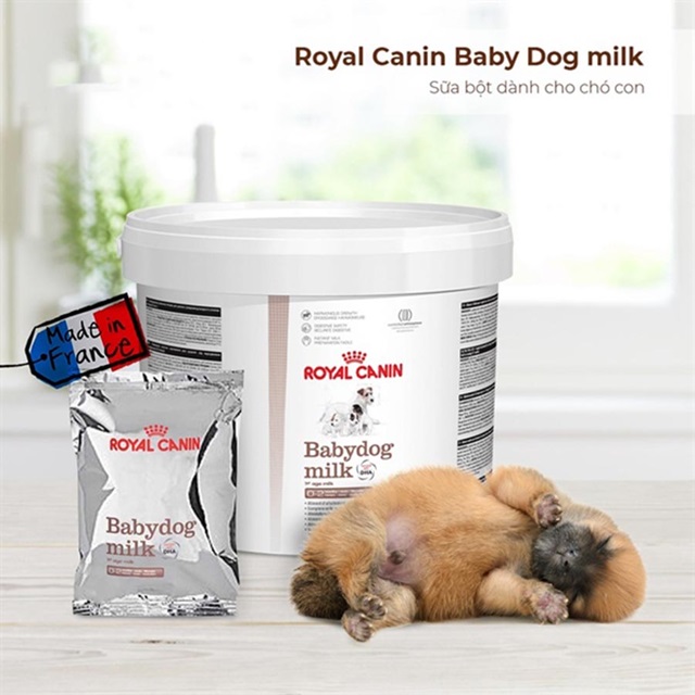 Sữa bột Royal canin Babydog